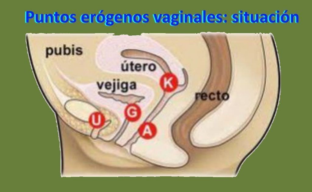 5 Puntos erogenos vaginales