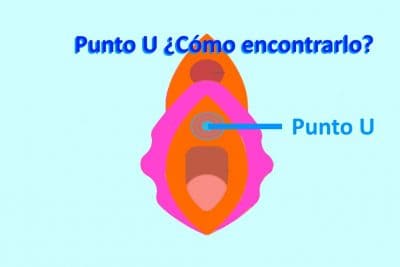 Punto U Como encontrarlo