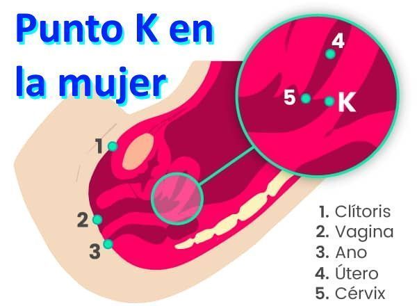 el punto K en la mujer