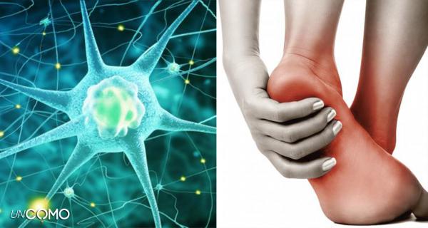 Neuropatía periférica. 3 neuropatia periferica causas